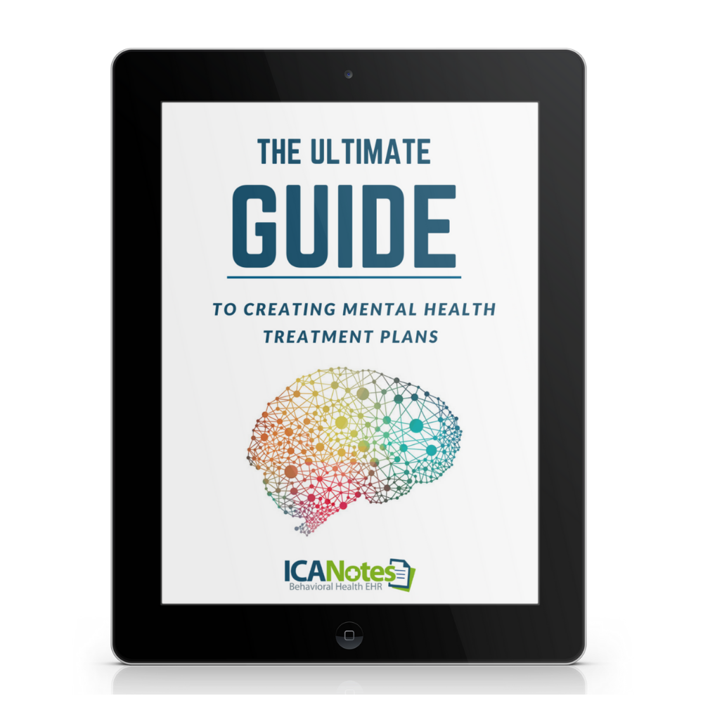 treatment plan guide