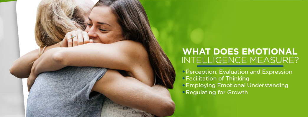 What Emotional Intelligence Measures