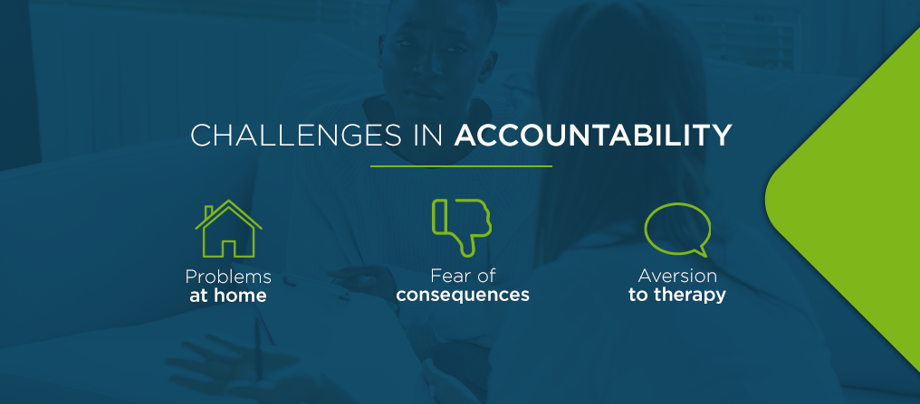 Challenges in Healthcare Accountability