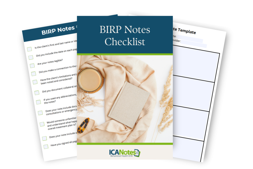 BIRP Notes Checklist
