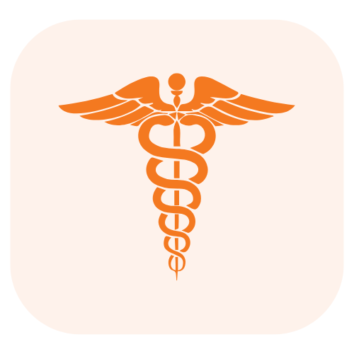 icon - 2025-08-20T103340.586