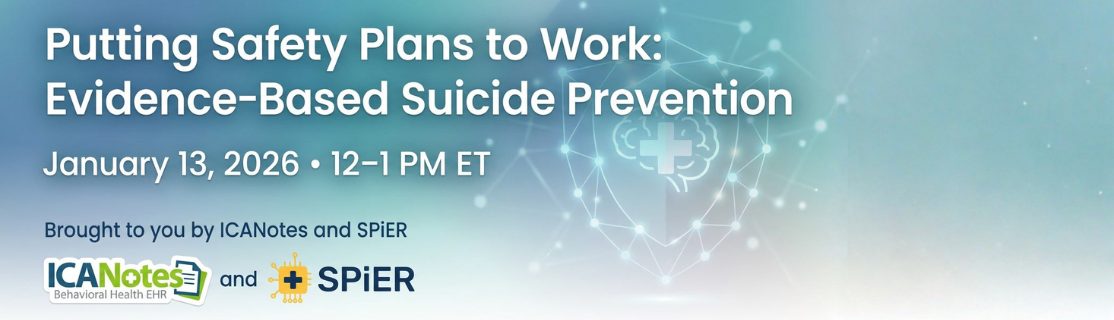 safety plans webinar