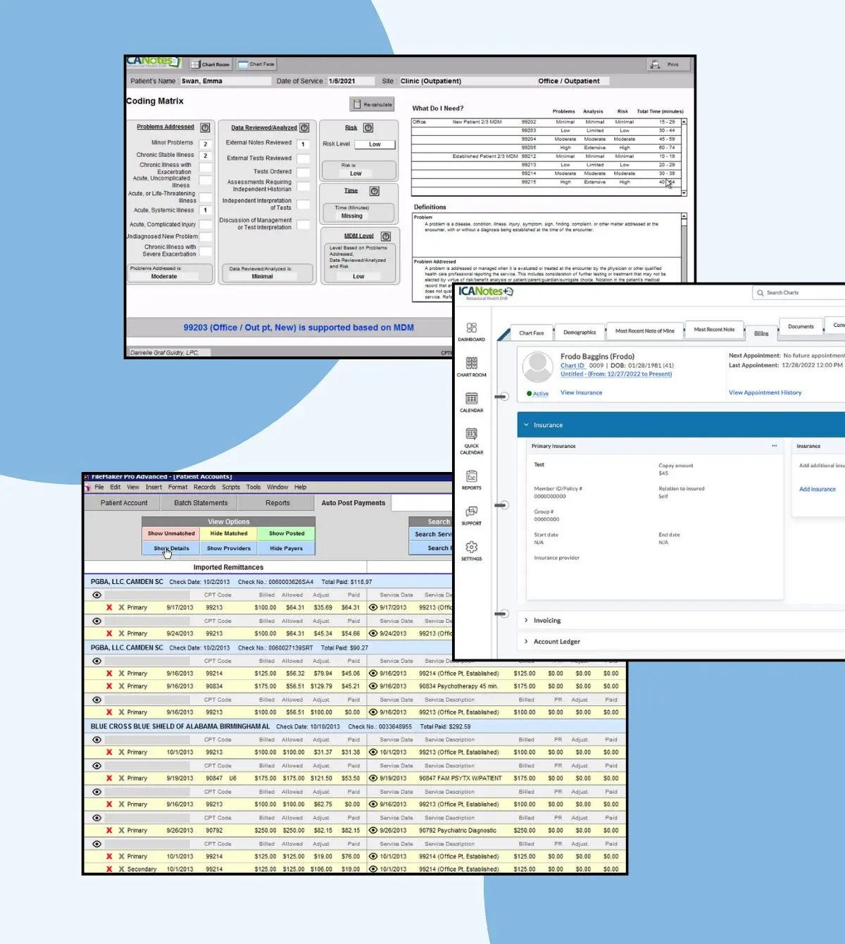 Behavioral health billing software showing insurance claims, payment posting, and patient account management dashboard
