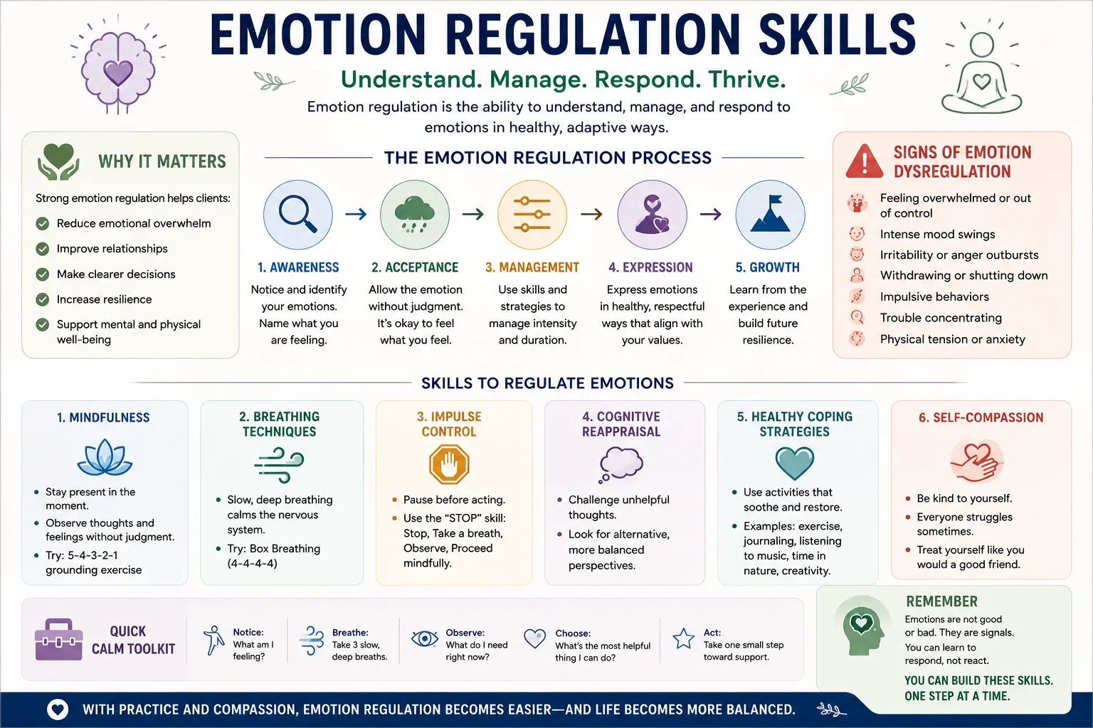 Infographic showing emotion regulation skills therapists use to help clients manage emotions, reduce distress, and build resilience