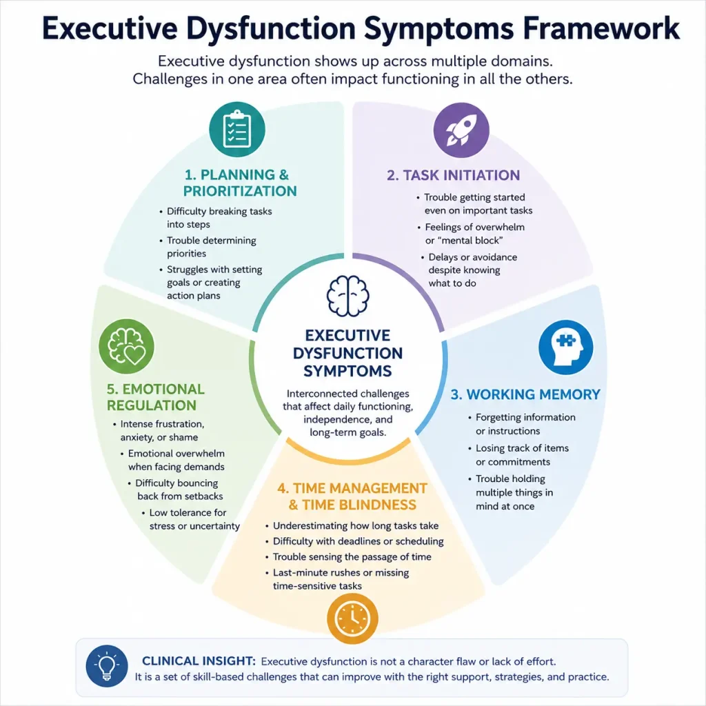 Executive dysfunction symptoms framework infographic showing five core domains: planning and prioritization, task initiation, working memory, time management and time blindness, and emotional regulation.