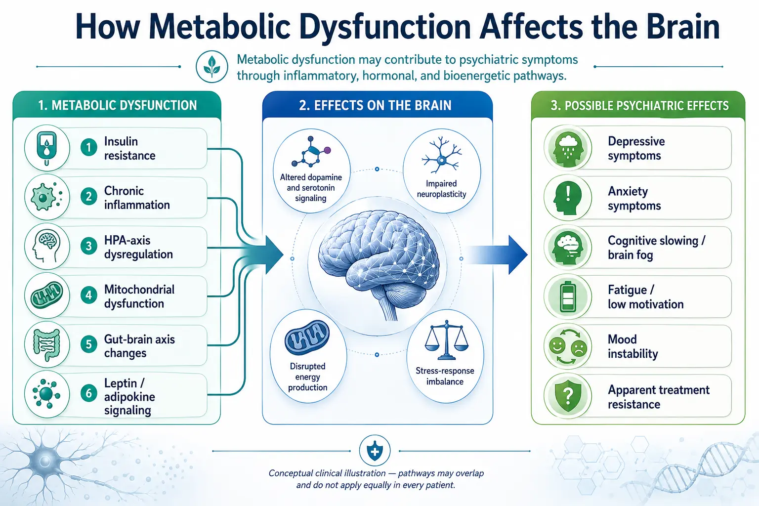 Diagram of how metabolic dysfunction affects the brain across six mechanistic pathways